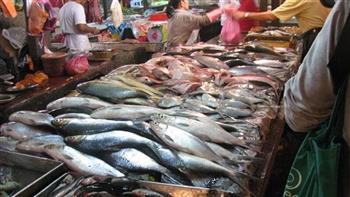   استقرار أسعار الأسماك اليوم 