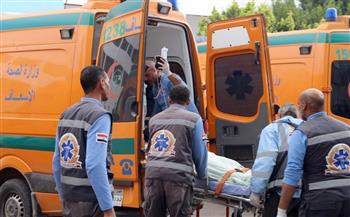   بالأسماء| إصابة شخصان في حادث انقلاب سيارة ربع نقل بالوادي الجديد