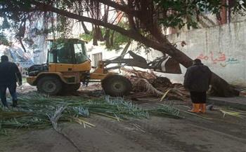   حي وسط الأسكندرية ينجح في التعامل مع حادث سقوط نخلة وشجرة بمحطة الرمل