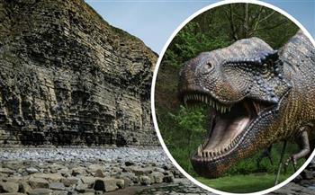   العثور على مخلفات ديناصورات في ويلز البريطانية يرجع تاريخها إلى 200 مليون عام