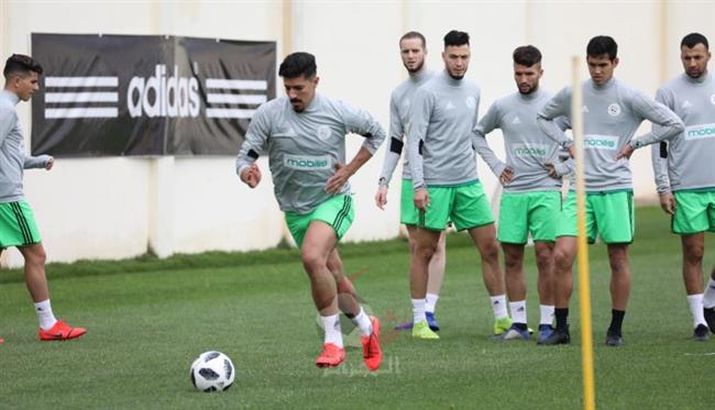الغيابات تطارد الجزائر قبل مواجهة سيراليون بأمم إفريقيا 