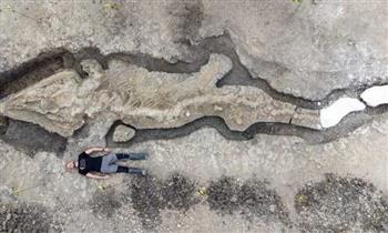   اكتشاف حفرية لـ تنين ضخم عمرها 180 مليون سنة