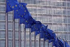 الاتحاد الأوروبي يؤكد عزمه مواصلة التعاون والتنسيق الوثيقين مع أمريكا