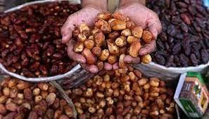محافظة مطروح تواصل استعداداتها لانطلاق مهرجان التمور الدولى