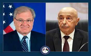 نورلاند: إجراء الانتخابات الليبية في يونيو المقبل ضرورى