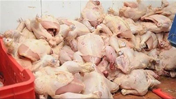 سقوط صاحب مجزر بحوزته نصف طن دواجن فاسدة في القاهرة