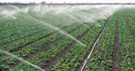 نجاح تحويل 800 ألف فدان للري الحديث بقرى البحيرة