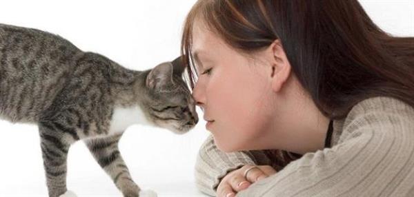 هل بالفعل داء القطط يسبب الاجهاض؟