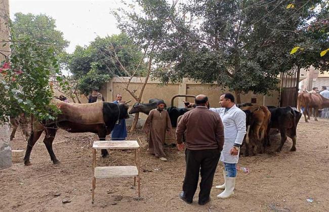 حياة كريمة.. محافظ الفيوم: قافلة بيطرية مجانية بقرية الخواجات  