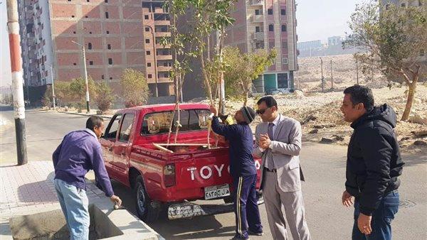 «أحلى وهي خضرة».. زراعة 70 شجرة بشوارع ساقلتة وحي الكوثر بسوهاج