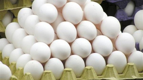 بعد وصول الكرتونة إلي 60 جنيه.. شعبة الدواجن تتحرك لتخفيض سعر البيض