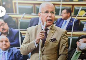 برلماني: "هيومن رايتس" تستقي تقاريرها من عناصر إرهابية بشأن حقوق الإنسان