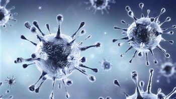   مصر تسجل 1197 إصابة جديدة بفيروس كورونا و25 وفاة
