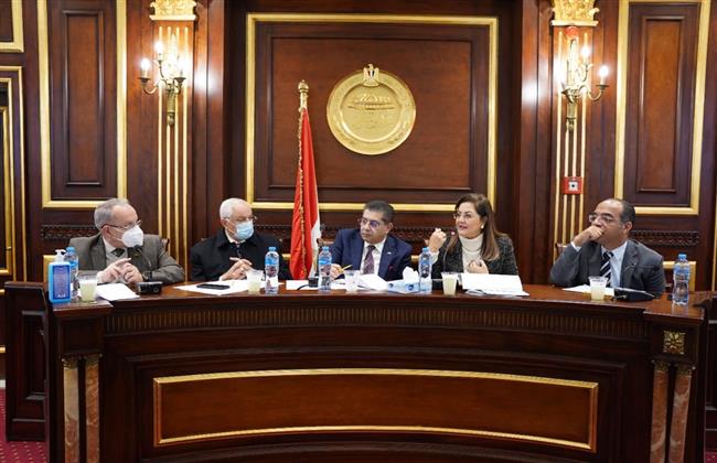 وزيرة التخطيط تستعرض محاور المشروع القومي لتنمية الأسرة بمجلس الشيوخ