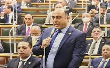   برلمانى : الرئيس يتابع بنفسه التفاصيل اليومية للشارع المصري 