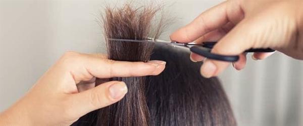 3 خلطات طبيعية لعلاج مشكلة تقصف الشعر