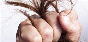   نصائح لعلاج تقصف الشعر من الأمام وجفافه