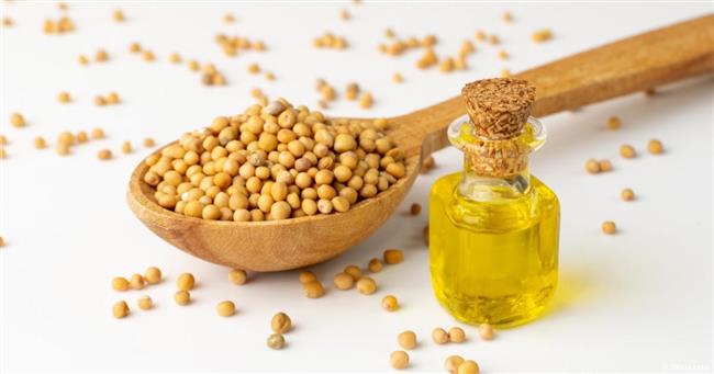 زيت الخردل كلمة السر لتطويل الشعر والعناية به