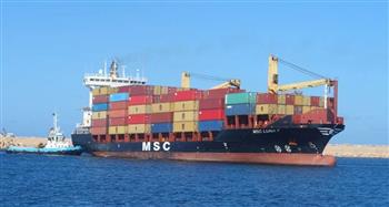   تداول 25 سفينة حاويات وبضائع عامة في ميناء دمياط   