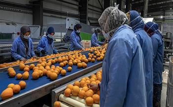   وزير الزراعة: لأول مرة الصادرات الزراعية المصرية تتجاوز 5.6 مليون طن