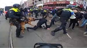   كلب ينهش ذراع أحد المتظاهرين ضد قيود كورونا فى هولندا  