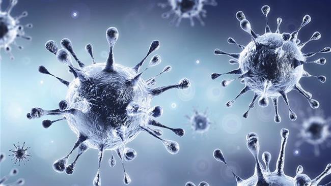 الصحة: 1379 إصابة جديدة بفيروس "كورونا" و33 حالة وفاة