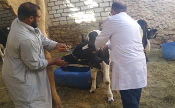   بيطرى البحيرة: تحصين 2200 رأس ماشية ضد الأمراض المعدية فى أبو المطامير