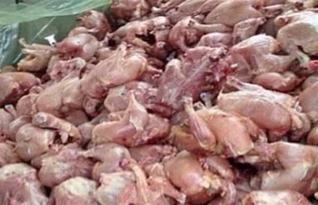 غلق وتشميع مطاعم ومحلات جزارة بها لحوم غير صالحة بحدائق الأهرام
