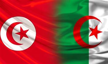   تونس والجزائر يبحثان الملف الليبى والاستحقاقات العربية والإفريقية
