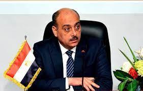 «التنمية الصناعية» تبحث تعزيز التعاون مع العراق