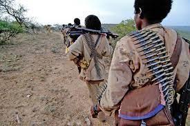   الصومال يتراجع عن اعتبار جبهة تحرير أوجادين «كيانا إرهابيا»