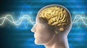  شركة إيلون ماسك للرقائق الدماغية تستعد لإجراء تجارب إكلينيكية على البشر