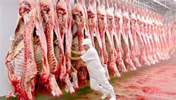 إنشاء أول محطة لإنتاج اللحوم المجمدة ببورسعيد
