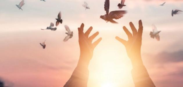 ما حكم من توفى مديونا وأقاربه؟.. الإفتاء تجيب
