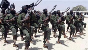   الجيش الصومالي يقتل 20 من مليشيا «الشباب» بوسط البلاد