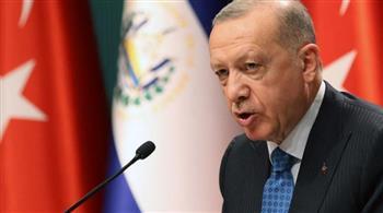 أردوغان يؤكد معاقبة كل من "يهين" الرئيس التركى