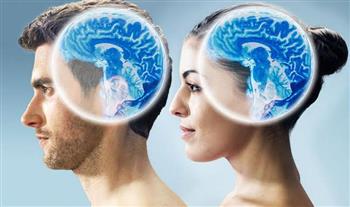   دراسة: توضح اختلاف دماغ الرجل عن المرأة