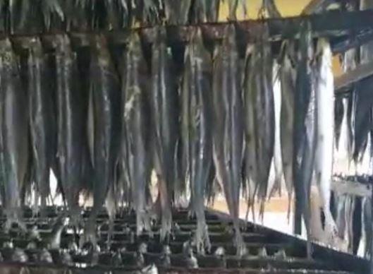 ضبط طن ونصف رنجه داخل مصنع بدون ترخيص بالبحيرة