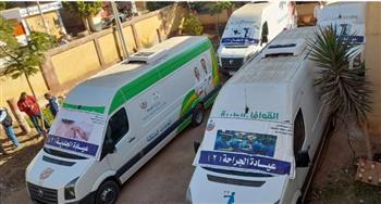 الصحة: الكشف والعلاج بالمجان على 2 مليون مريض فى 2021