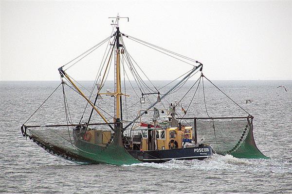 تحذيرات لصيادي البرلس بعدم الإبحار بعمق خوفا من التقلبات الجوية