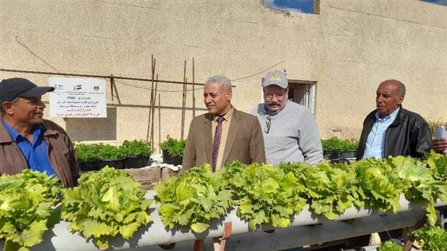 زراعة بني سويف: تدريب الطلاب وحديثي التخرج وأصحاب المنازل على زراعة الأسطح