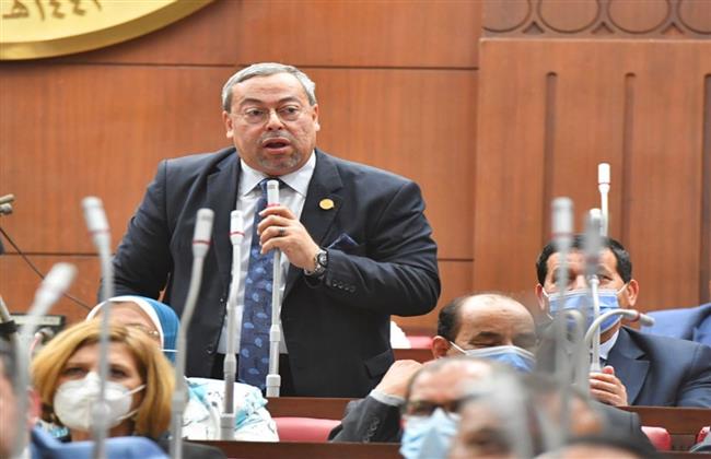 برلماني: قانون العمل مكسبا للعامل وصاحب العمل
