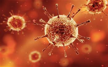   الصحة الإمارتية تسجل 2.581 إصابة جديدة بفيروس كورونا
