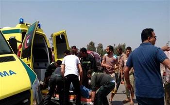   دماء على الطريق.. إصابة 17 شخص في حادث إنقلاب سيارة ربع نقل بالمنيا