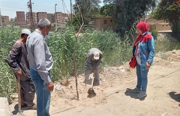 استمرار حملات التشجير ضمن مبادرة «اتحضر للأخضر» فى أسيوط
