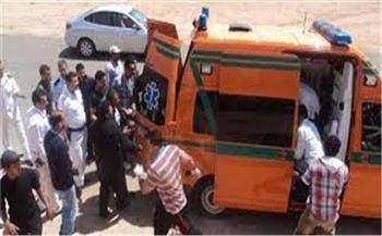 إصابة طفل بنزيف بالمخ إثر تعرضه لحادث سيارة في المنيا 