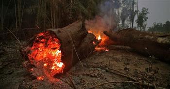   البرازيل تشهد أسوأ حرائق الغابات خلال عقد من الزمان في ظل تجاهل المرشحين للبيئة