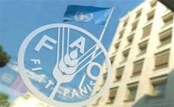   "فاو" تدعو لتعزيز الأعمال التجارية للمزارعين والتعاونيات التابعة لها بقطاع غزة