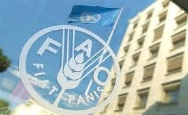 "فاو" تدعو لتعزيز الأعمال التجارية للمزارعين والتعاونيات التابعة لها بقطاع غزة