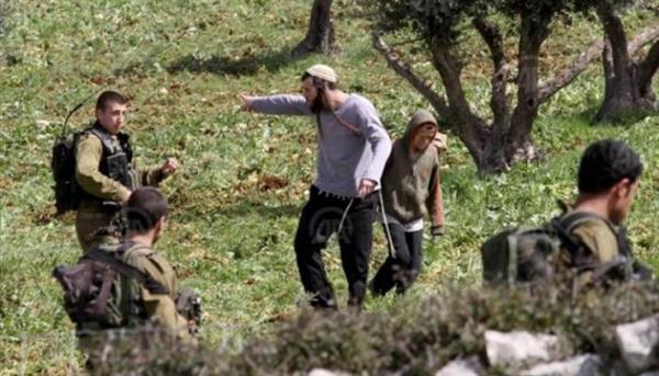 فلسطين.. إصابات إثر اعتداء المستوطنين وسط الخليل